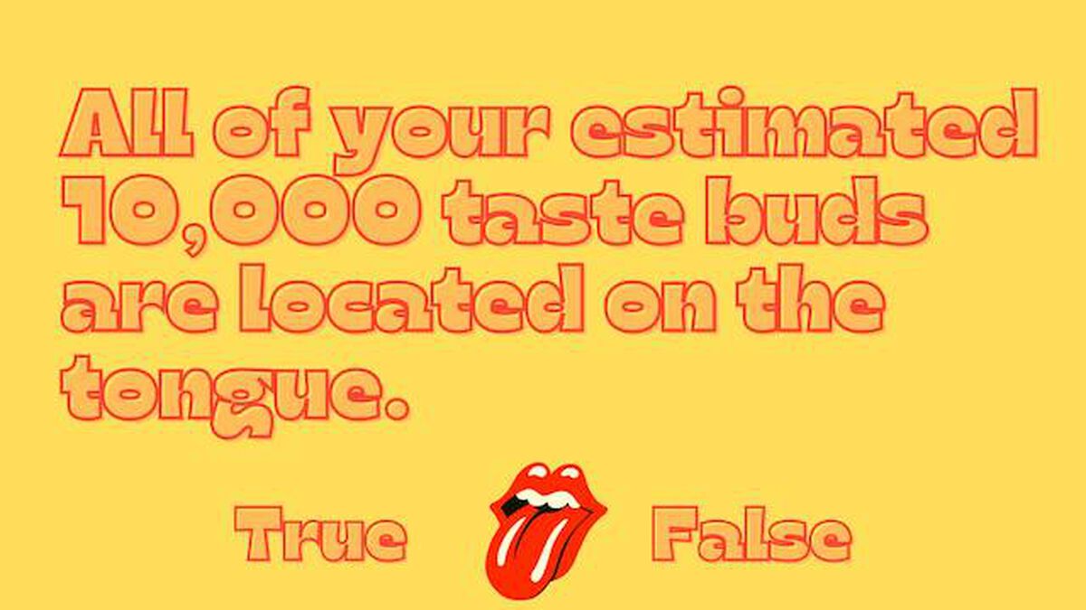Tongue Twivia image number null